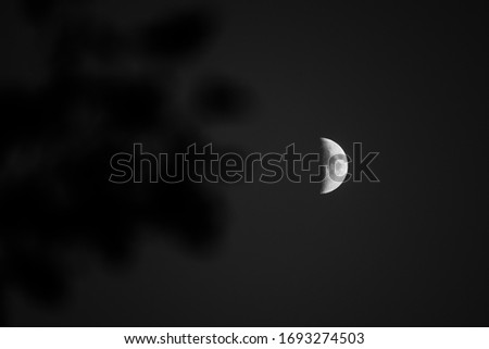 Half moon on blue sky background. Night sky wallpaper over the city. Cityscape glowing moon phase. Mysterious astronomy night light. Science cosmos midnight half circular luminescent moon.