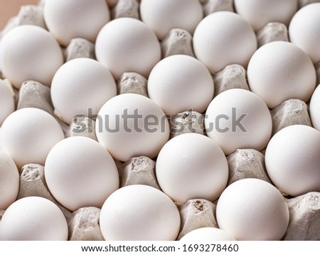 white raw eggs stock photos, easter day photos, raw chiken eggs. 