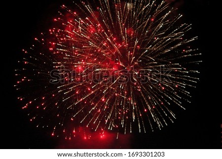 colored firework background on the night sky, holiday background, soft focus, blur image