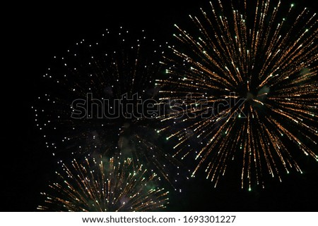 colored firework background on the night sky, holiday background, soft focus, blur image