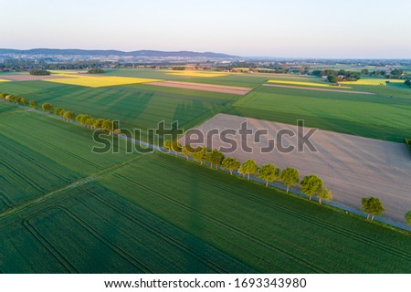 Northern Germany with rapeseed fields, locality and meadows from the air