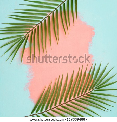 Palm branches on a bright pink-blue wooden background with brush strokes.