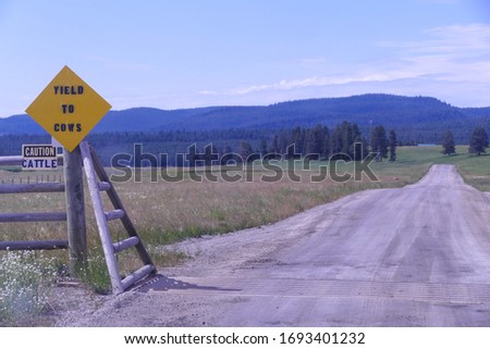 'Yield to Cows' Sign & Approach to Cattle Ranch Pasture, West Yellowstone, Montana, USA