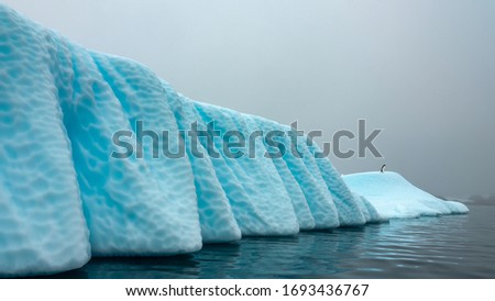long blue iceberg with running penguin in Antarctica