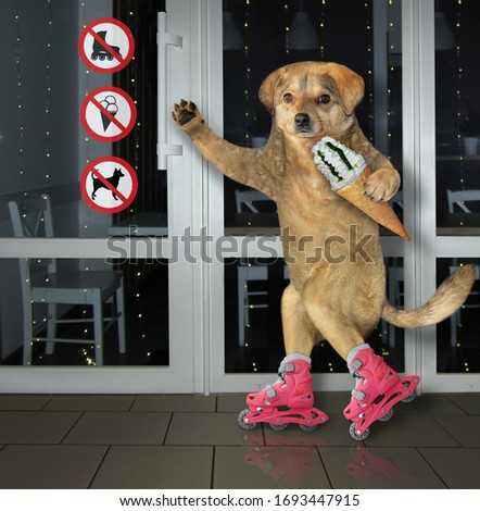 The beige dog on pink roller skates is eating a ice cream cone near the cafe with prohibition signs.