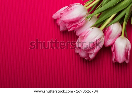 Bouquet of tulip on the red background. Simple text area