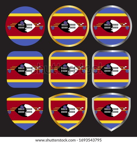 swaziland flag vector icon set with gold and silver border