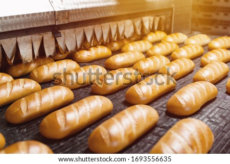 The oven in the bakery. Hot fresh bread leaves the industrial oven in a bakery. Automatic bread production line Royalty-Free Stock Photo #1693556635