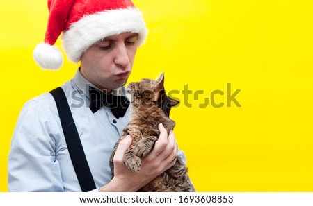 handsome man in red festive santa hat, blue shirt and black suspender holding and kissing cute brown tabby cat in front of yellow background