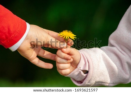 Closeup of a little girl giving a yellow flower to a boy