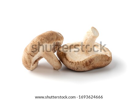 Fresh shiitake mushrooms isolated on white background. Raw shitake, healthy organic asian fungi Royalty-Free Stock Photo #1693624666