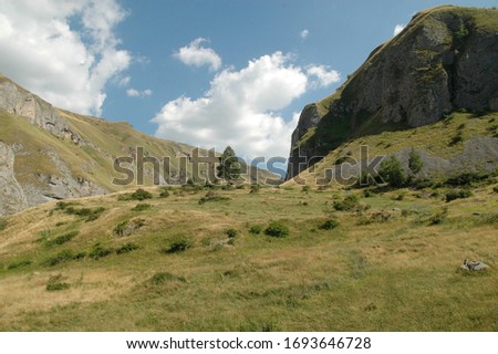 An idlyc summer landscape on Sar mountain 