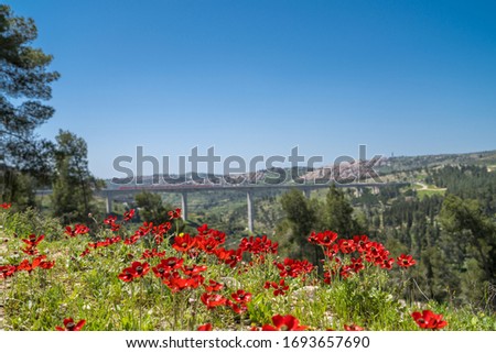 Scenic view of the spring in Jerusalem, Israel