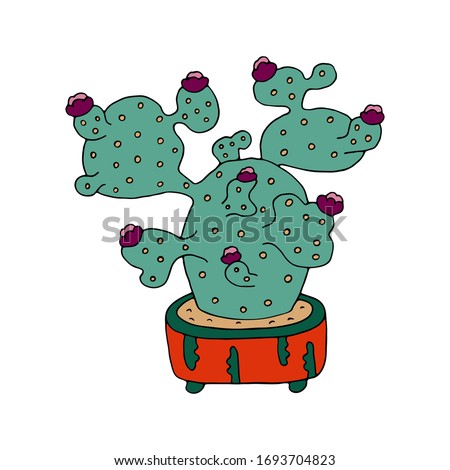 Big flowering green cactus house plant in bloom with red flower, indoor flower in pot, elegant home decor. Hand drawn vector art isolated on white background. Design for flyers, cards, invitations.