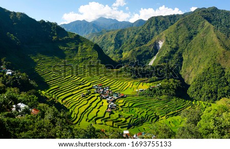 rice field terraces in the area of batad,in Philippines  Royalty-Free Stock Photo #1693755133