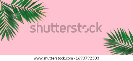 Minimal tropical green palm leaf on  pink paper background. 
Flat lay Top view with copy space for  your text.