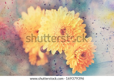 artwork with beautiful yellow asters and watercolor splashes