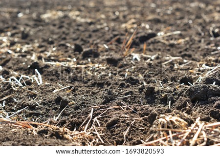 Freshly plowed field of chernozem with the remains of dry tops from last year, which will decay and turn into fertilizer Royalty-Free Stock Photo #1693820593