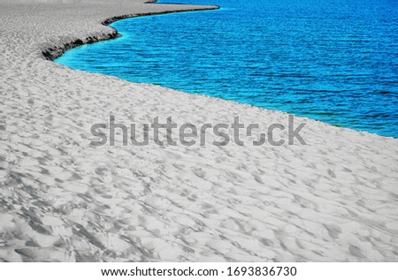 beach of Baltic Sea in Russia, holiday and summer scene. sandy beach background. summer day on empty beach. no people.  hot white sand. summertime season.