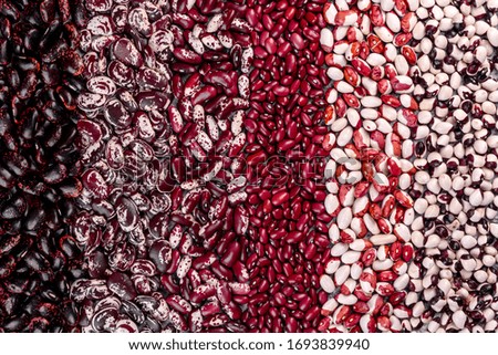 Pulses health food selection in white porcelain dishes over concrete background. Haricot bean close background with high resolution