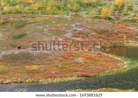 photographer takes pictures of mountain landscape Beautiful wild nature of Sarek national park in Sweden Lapland with snow capped mountain peaks. Early autumn colors in stormy weather. selective focus