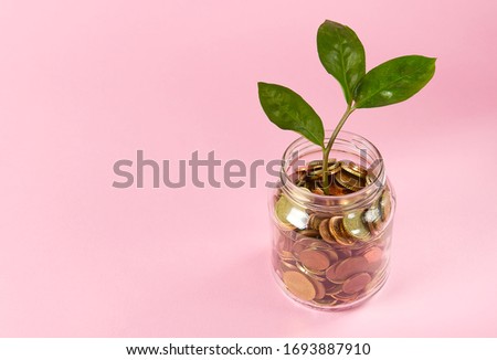 coins in a glass jar. money growth investment concept. Saving money and caring for the good distressed people of the planet. on pink background