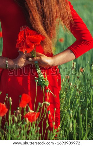 Bouquet of poppies in hands of girl. Red dress