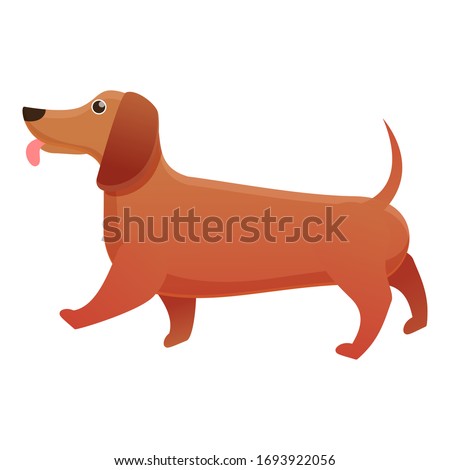 Domestic dachshund icon. Cartoon of domestic dachshund vector icon for web design isolated on white background
