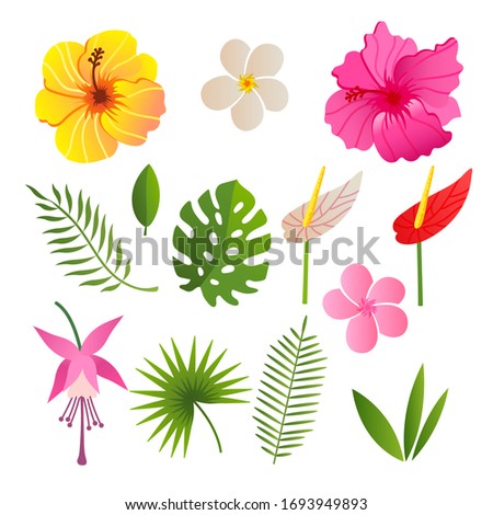 tropical elements of flowers and leaves vector illustration