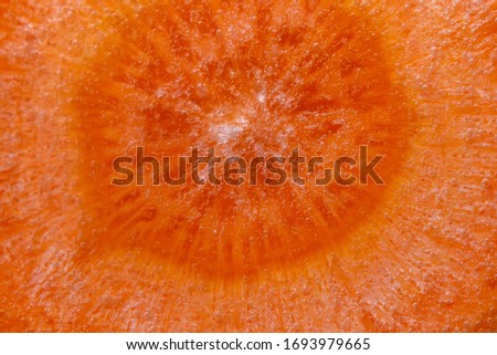orange carrot slice. Close-up macro photography. the vegetables under the water in the water.