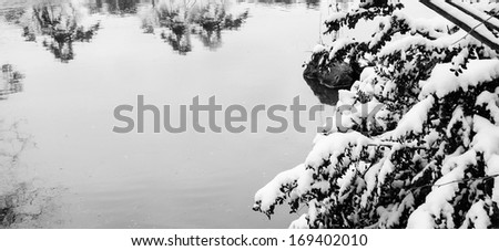 Sudden snow. Twigs with leaves covered with a snow over the lake. Reflection of the trees. Black and white. Aged photo. 