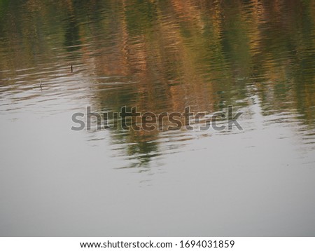 Reflection of nature on the water surface