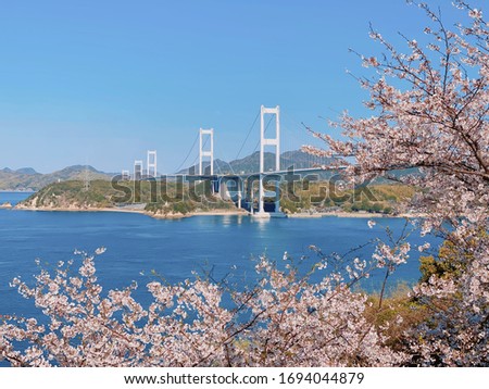 This is a picture of Kurushima Strait in spring.