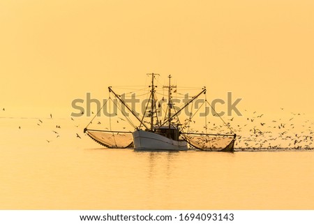 Fishing Boat with Nets and Swarm of Seagulls at Sunset, North Sea, Germany Royalty-Free Stock Photo #1694093143