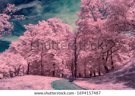 Surrealistic infrared photo from Castle Spilberk Park