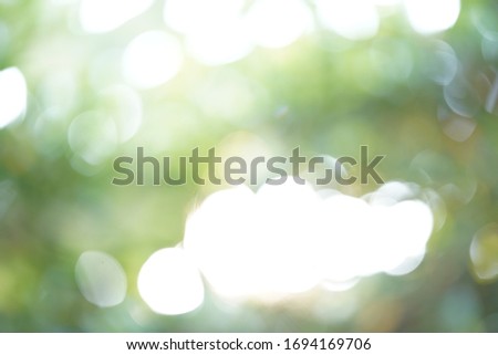beautiful green bokhe background during daylight