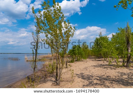 Empty sandy beach. Empty bay shore with trees and bushes on a sunny day without people.
