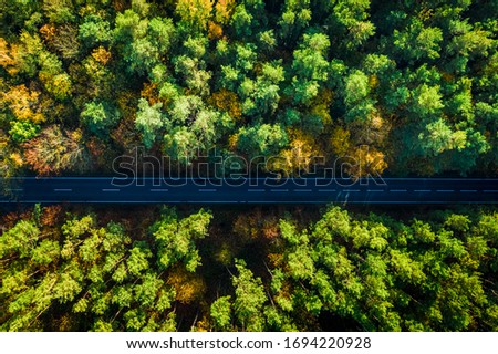 Top view of multicolored forest and black road in autumn