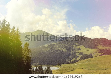 Summer landscape in mountains: pond, pine trees, hills and blue sky