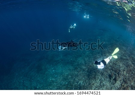 Model freediver with fins in tropical water watching manta ray underwater on blue background