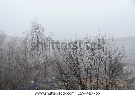 trees and town houses in the fog. Abstract, atmospheric image. Background for the project and design.