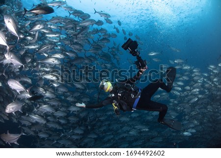 The amazing shot of diver with school of jack fish.