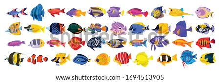 Tropical fish vector cartoon icon. Isolated cartoon icon aquarium animals .Vector illustration tropical fish on white background. Royalty-Free Stock Photo #1694513905