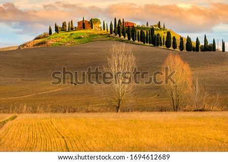 Tuscany, Crete Senesi rural sunset landscape. Countryside farm, cypresses trees, green field, sun light hitting the hill. Siena, Italy. Royalty-Free Stock Photo #1694612689