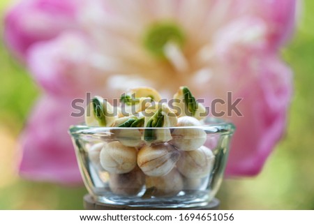 Fresh Lotus seeds ,Nelumbo nucifera Gaertn.,lotus flower  on natural background.