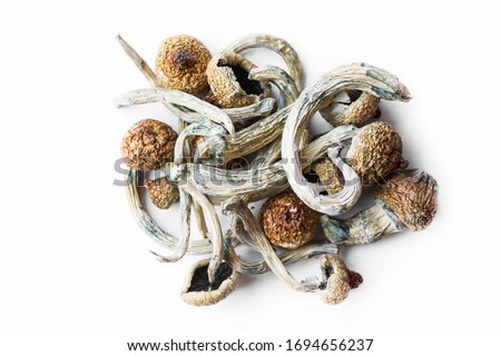 Dried hallucinogenic magic mushrooms. Psychoactive Psilocybin Mushrooms. Dried shrooms on white background. Royalty-Free Stock Photo #1694656237
