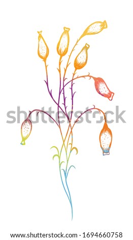 Rainbow abstract flower. mixed media. Vector illustration