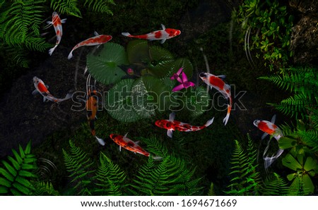 Koi fish in a pond with green plants and lotus flowers

