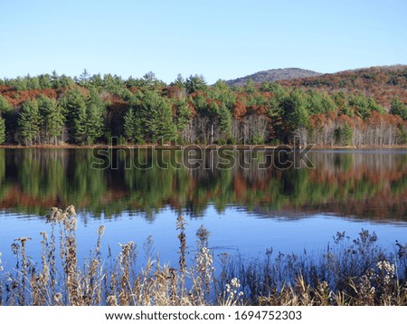 A stunning fall foliage scene in New Hampshire, beside a beautiful lake.