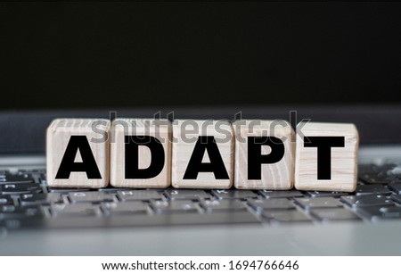 concept word ADAPT on cubes against the background of laptop keys